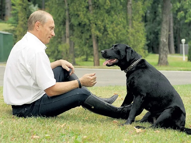 Навіщо росіяни хочуть скидати на українську армію собак, а краще нерпу?